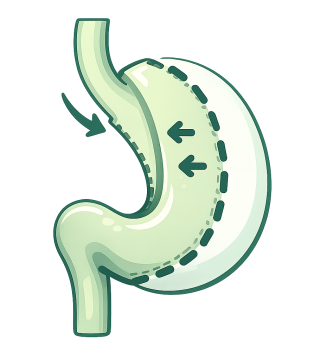 A_detailed_digital_illustration_in_medical_infogra